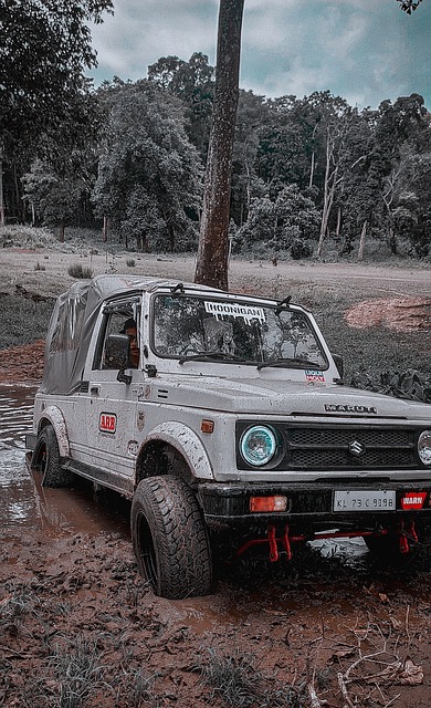 如何平衡短 如何平衡短