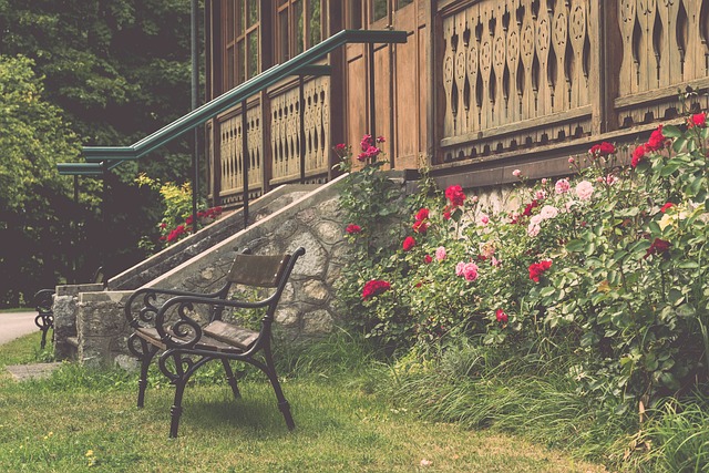 孩子的曝光 孩子的曝光