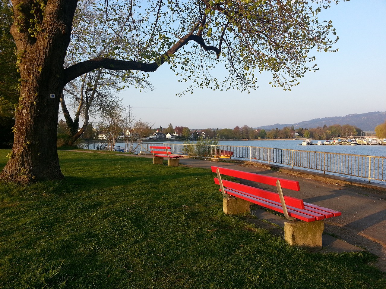 媒体舆论的 媒体舆论的