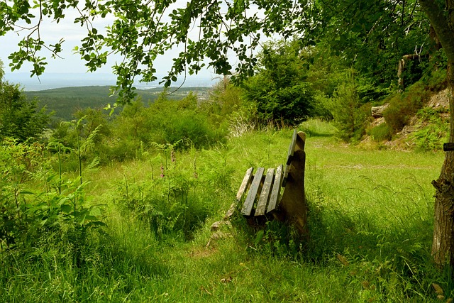 他凭借自己 他凭借自己