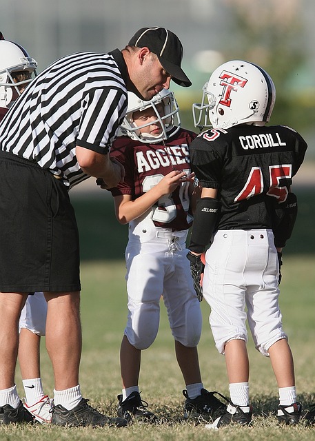 巴西足球想 巴西足球想